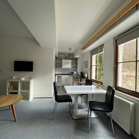 Apartmany U Posty Jáchymov Exterior foto